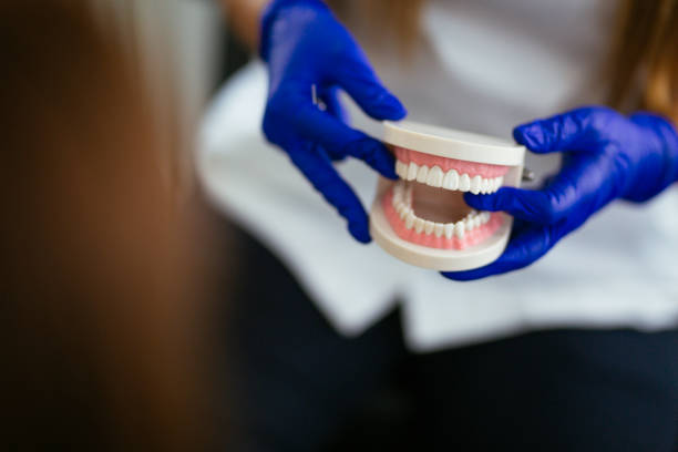 Best Cosmetic Dentistry  in North New Hyde Park, NY