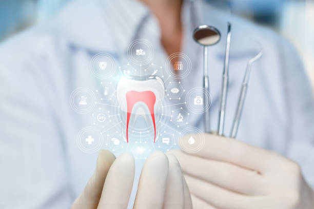 Best Preventive Dentistry  in North New Hyde Park, NY